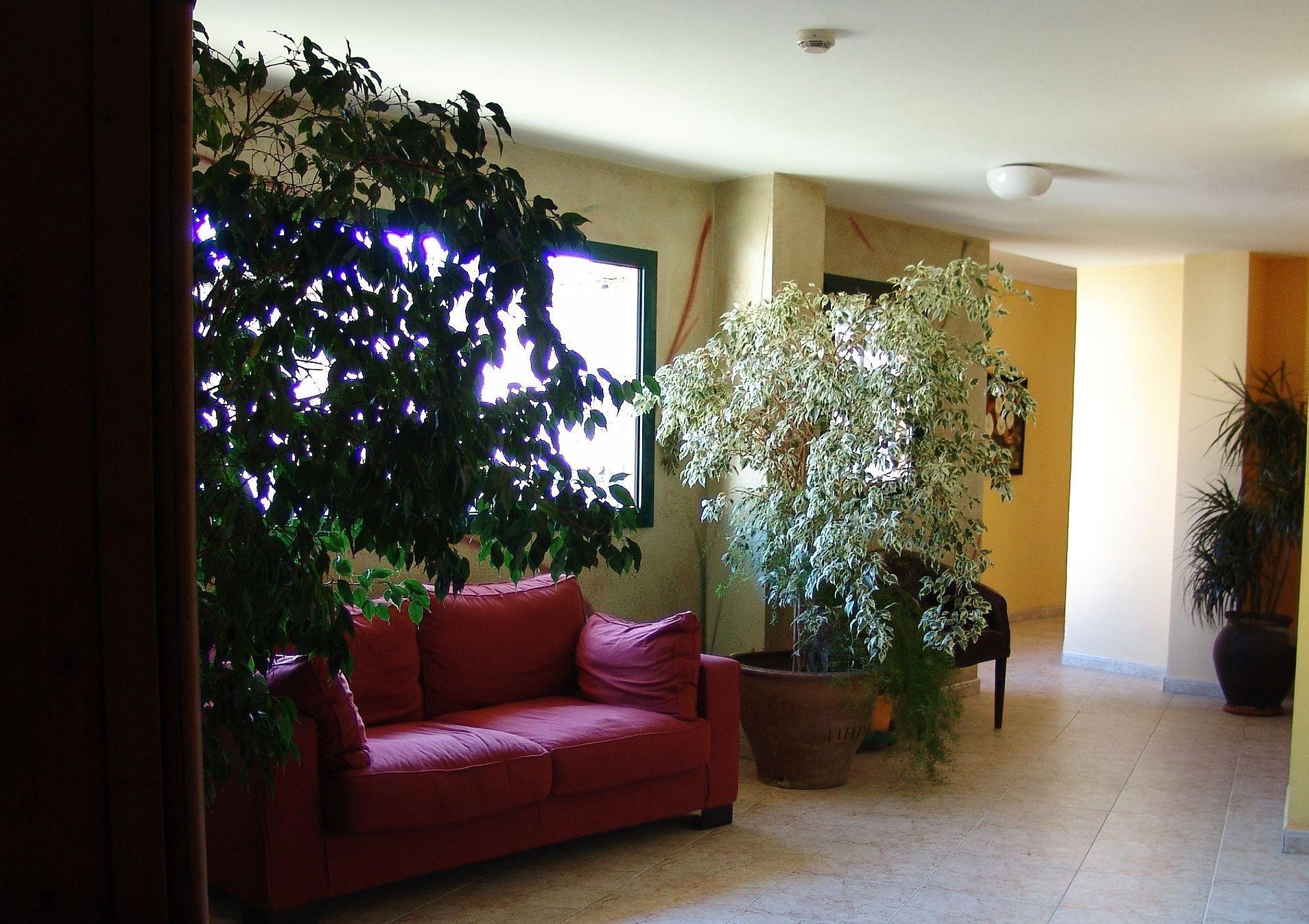 Vista Lobby Hotel Pinxo