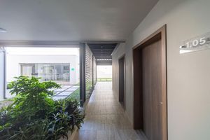 Alojamiento - Cedrela