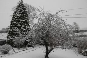 Alquiler Vacacional - Farmhouse Cottage Sleeps 2 (1 en-suite Bedroom)