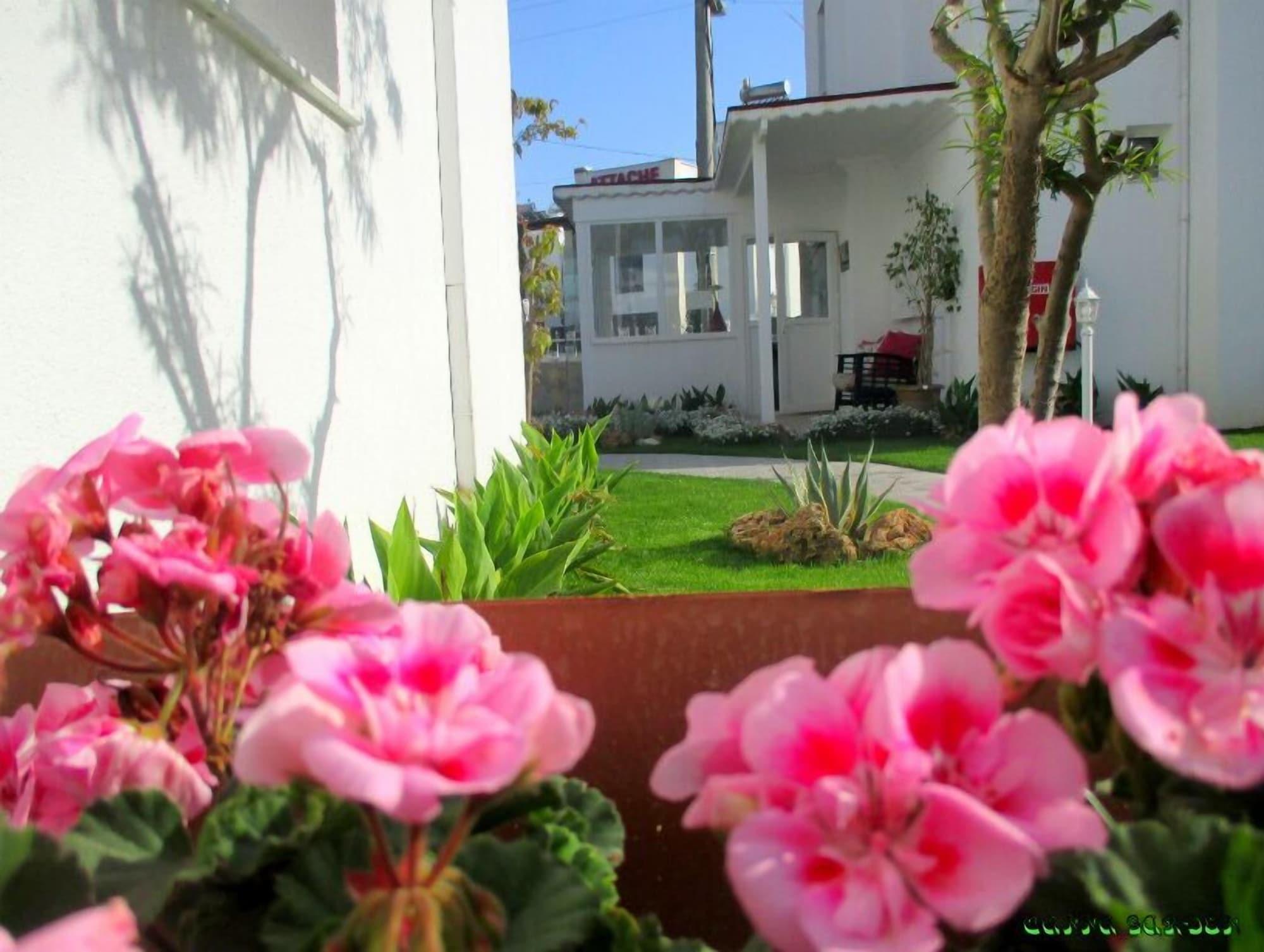 Comodidades del Alojamiento Canna Garden Hotel - Adults Only