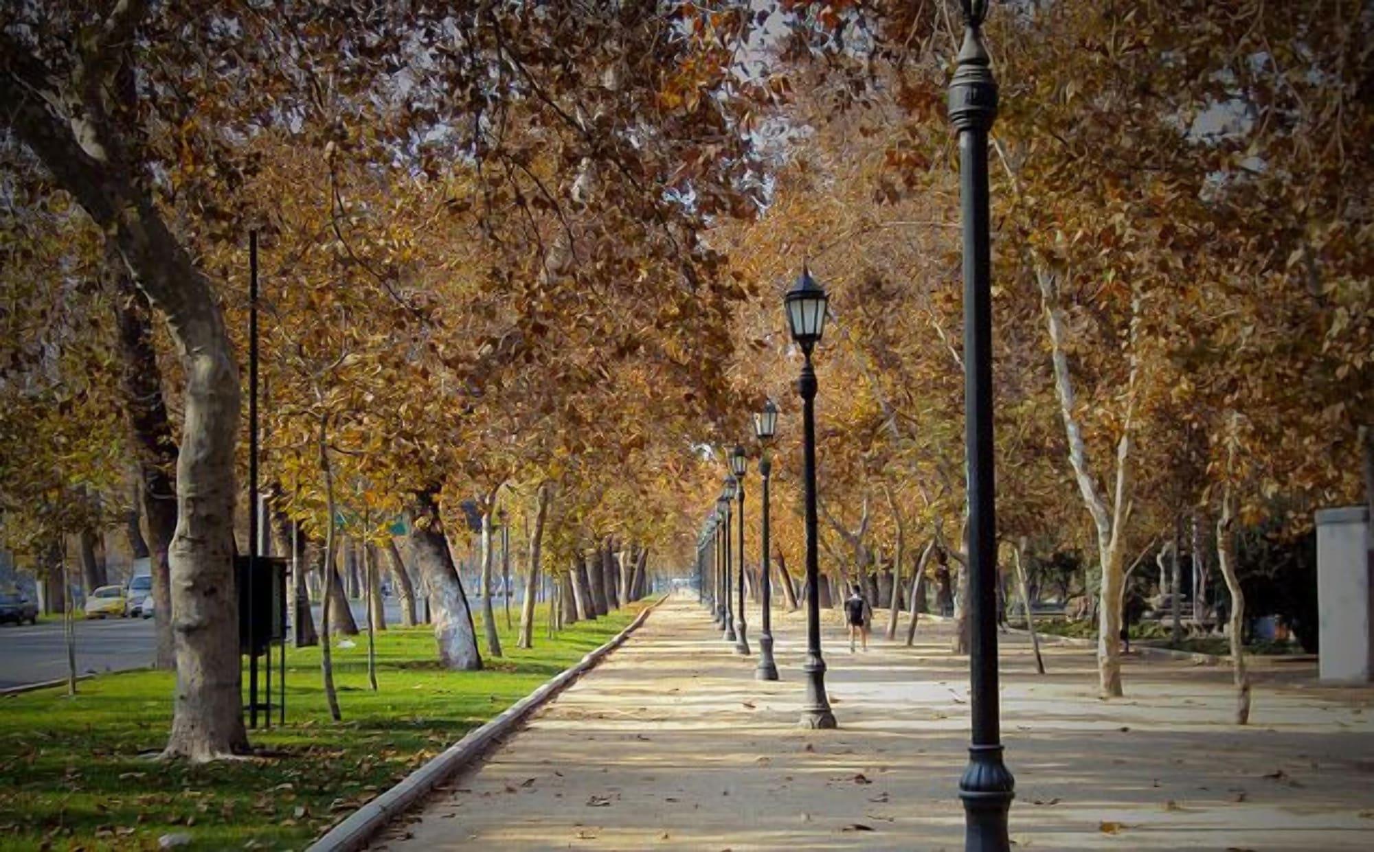 Instalaciones Recreativas Santiago Backpackers