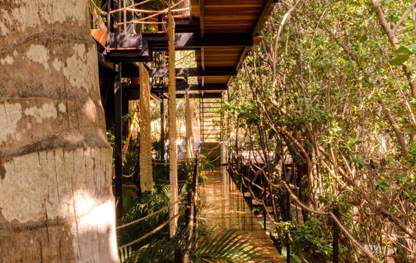Hotel Noga - Hoteles 3 estrellas en Zipolite, Oaxaca
