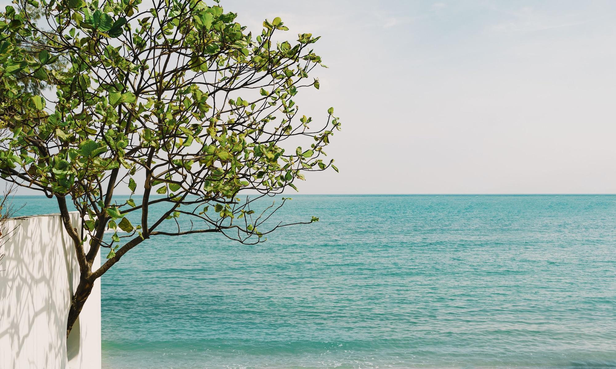 Playa Kimpton Kitalay Samui by IHG