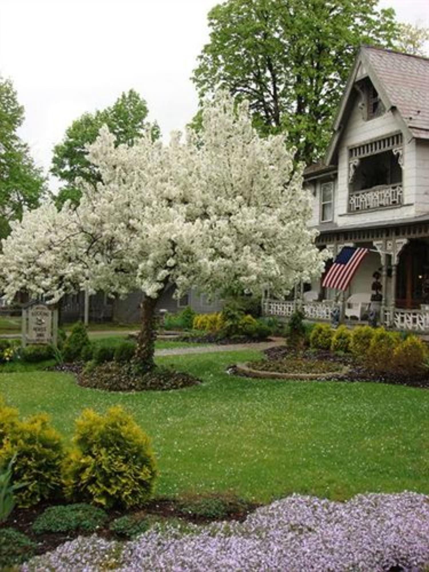 Vista Exterior Rocking Horse Inn
