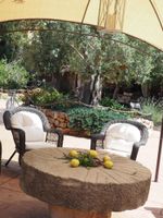 Alojamiento - Son Mercadal