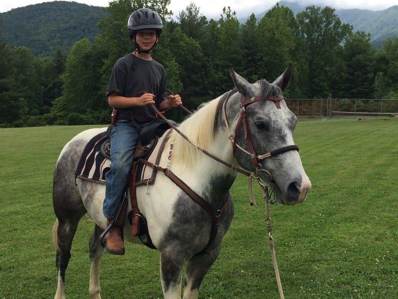 Instalaciones Recreativas Pisgah View Ranch