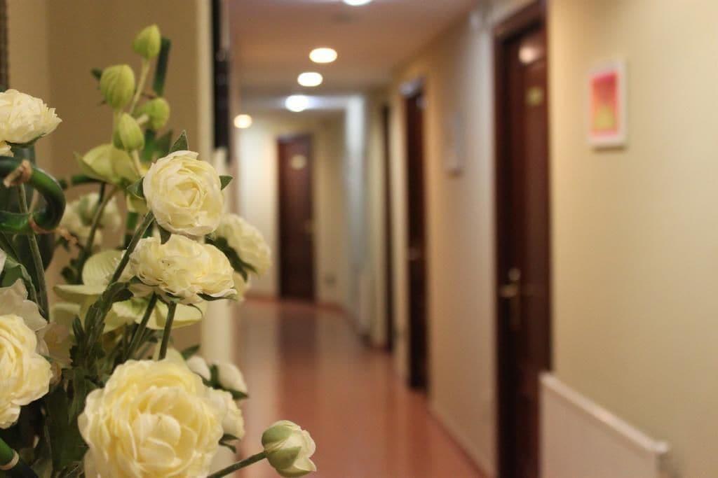 Varios Hotel Valdés