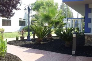 Alojamiento - SureStay Plus Hotel by Best Western Sacramento Cal Expo
