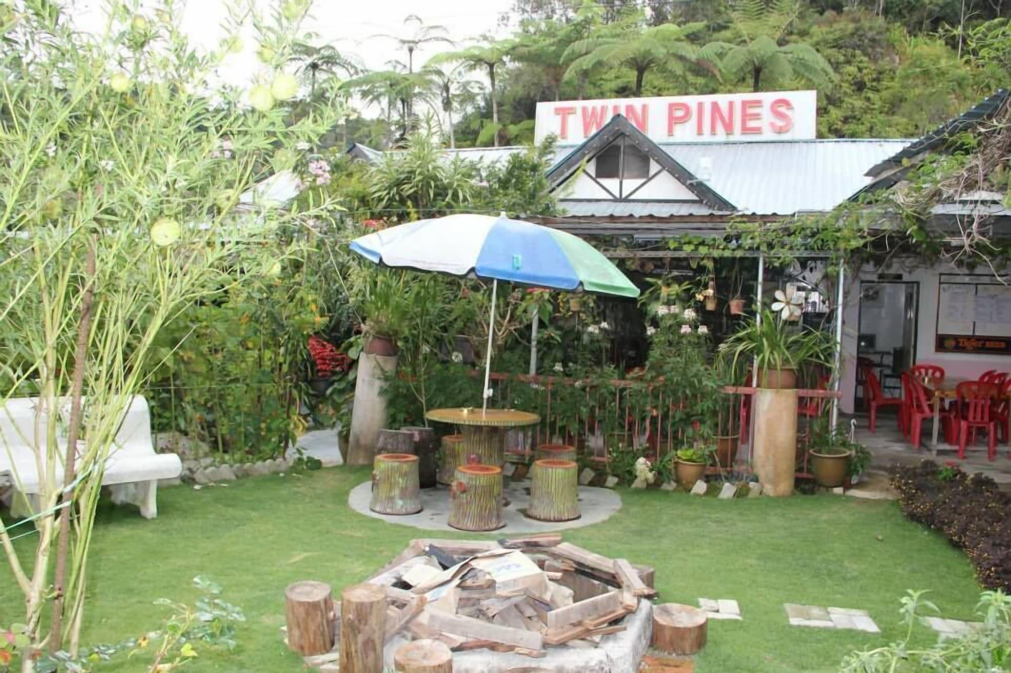 Varios Twin Pines