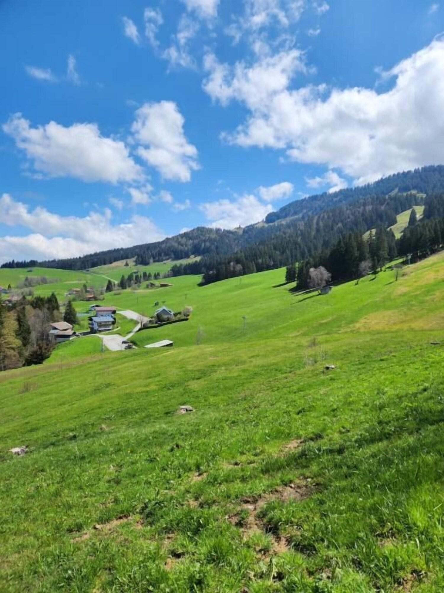 Vista Exterior Berggasthof Hochlitten