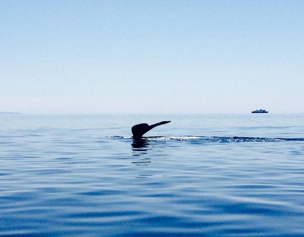Comodidades del Alojamiento The Florian Hotel