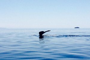 Alojamiento - The Florian Hotel