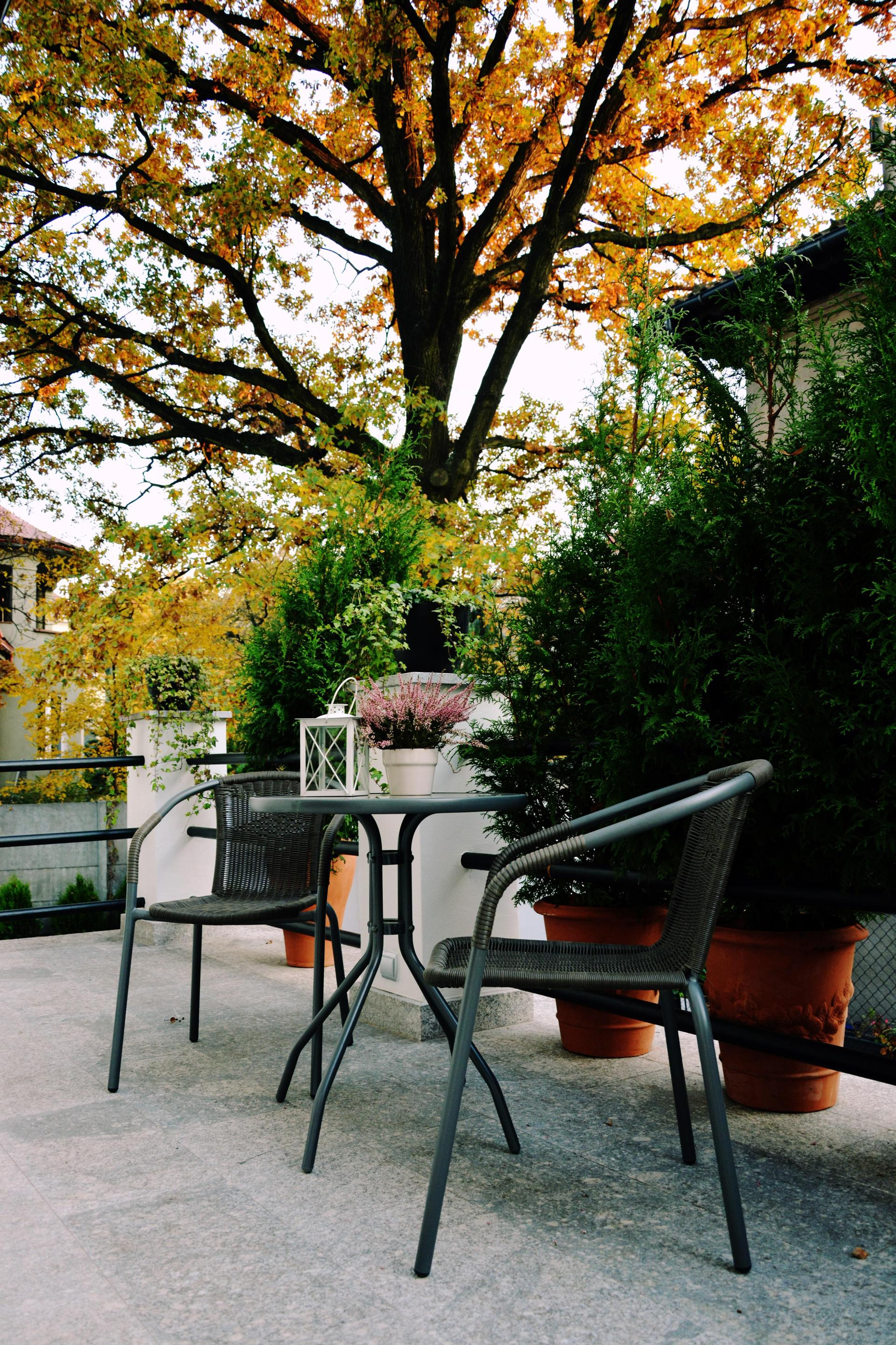 Varios Hotel Grottger Boutique Hotel