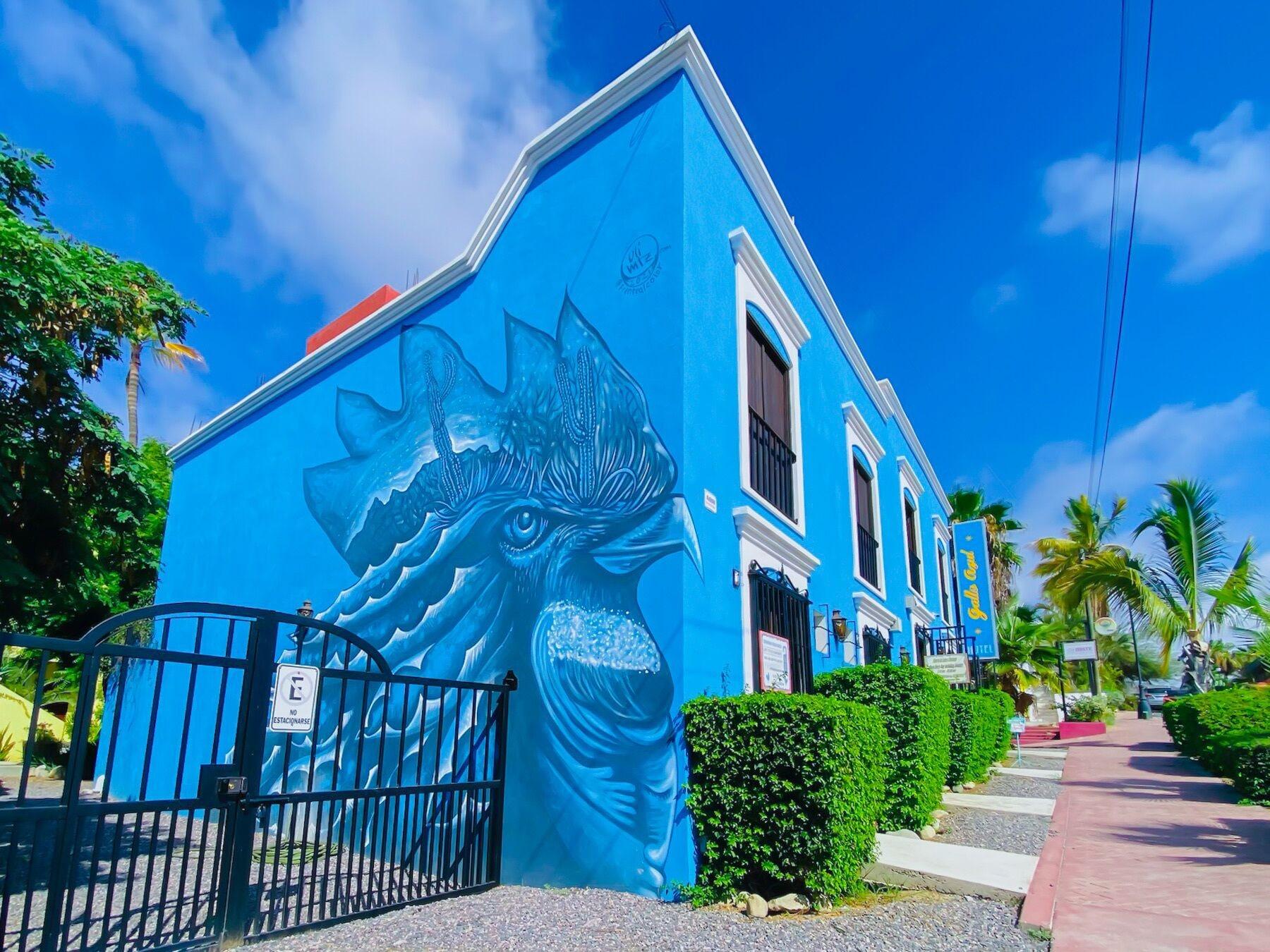 Varios Hotel Gallo Azul Downtown Todos Santos