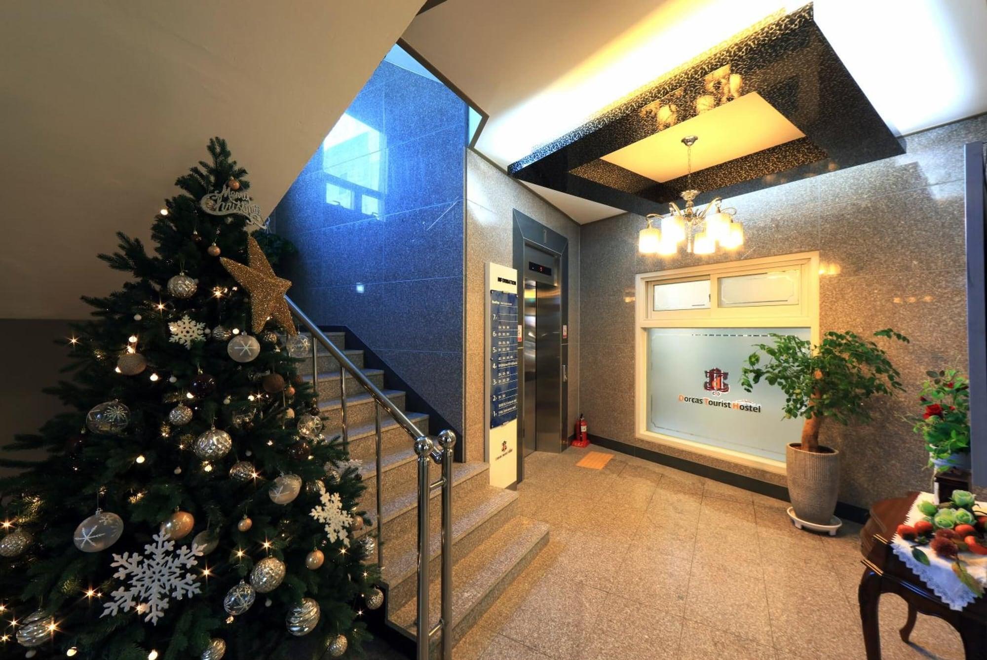 Vista Lobby Dorcas Tourist Hostel