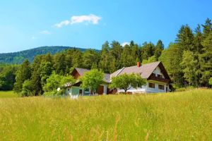 Aluguel por temporada - TIME OUT at the edge of the forest, peace and enjoyment of nature, A1 media box / TV Plus, garden / pets