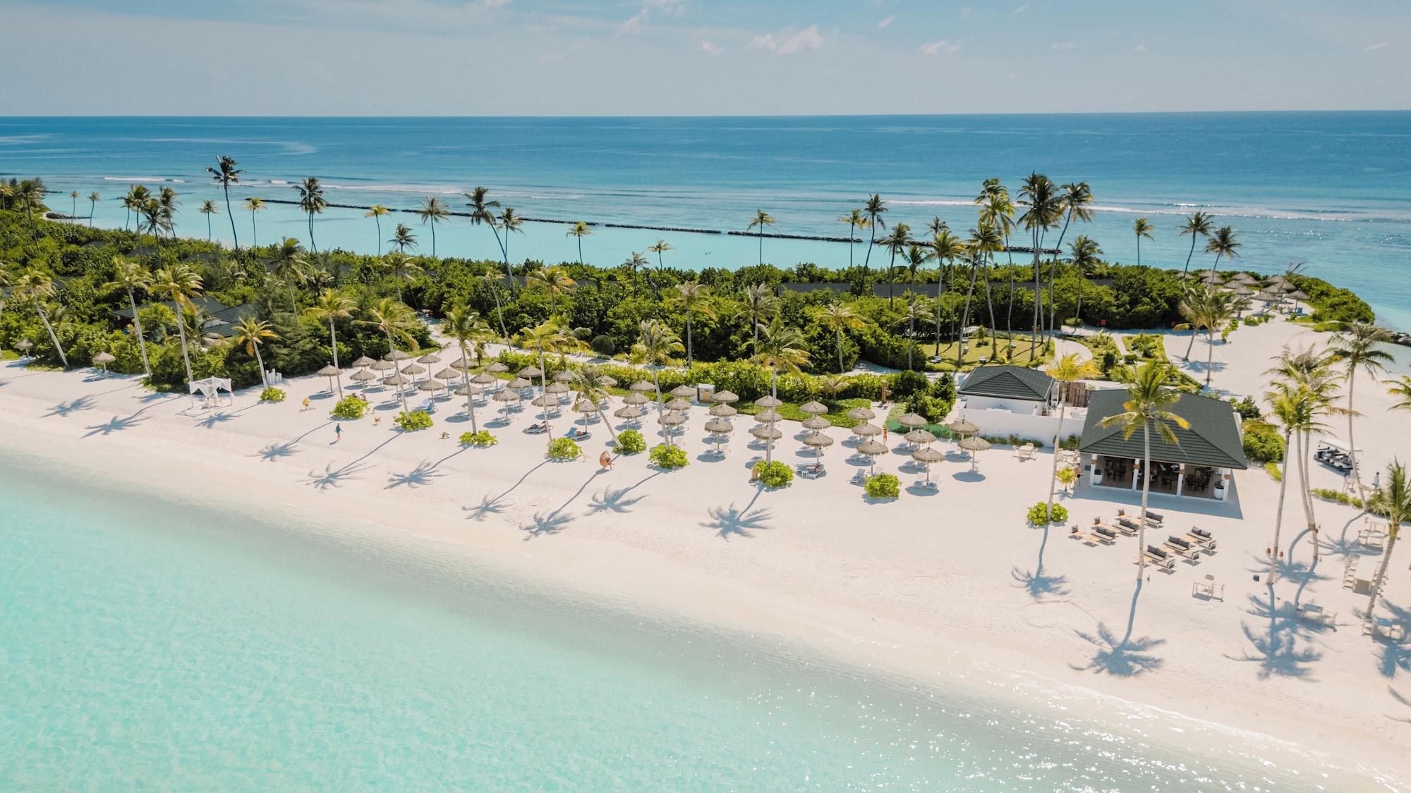 Playa Joy Island