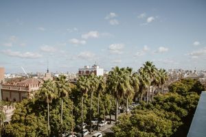 Alojamiento - Petit Palace Vargas