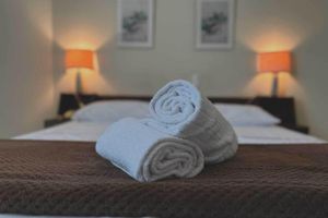 Alquiler Vacacional - Binder Hotel Mogi Guacu