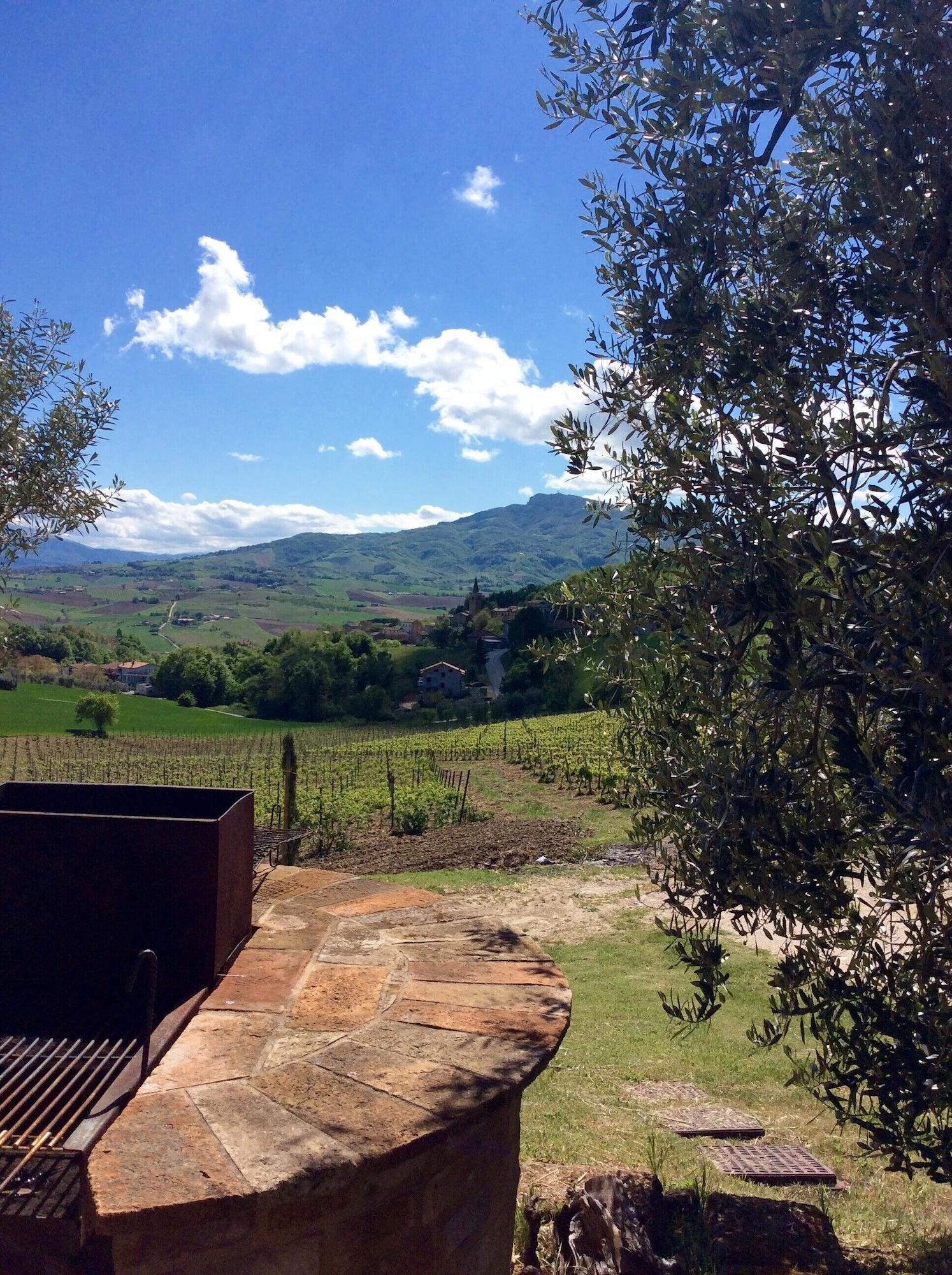 Comodidades del Alojamiento Agriturismo Terre Vineate