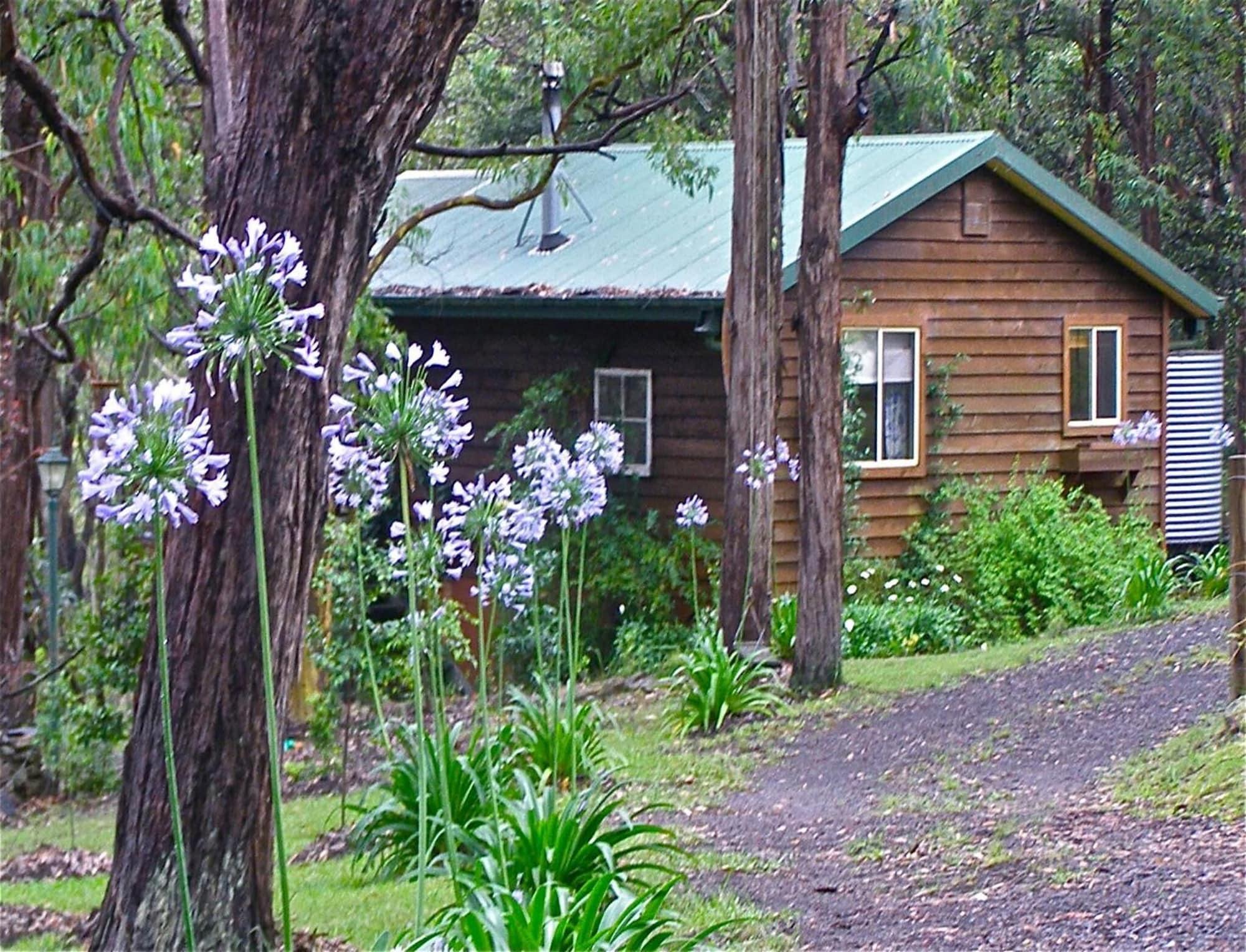Vista Exterior The Rustic Spirit