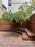 Alojamiento - Podshare San Francisco Marina - Hostel