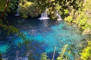 Actividad - TOUR POR LA ZONA Y TERMAS