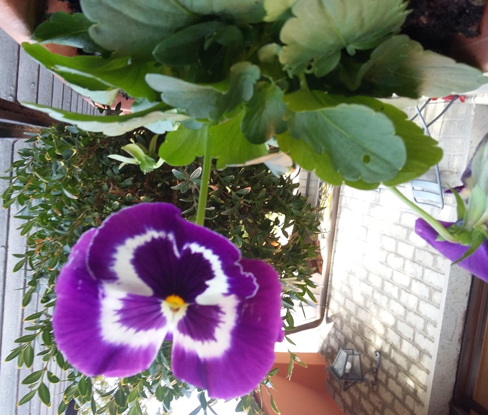 Vista Exterior Hotel Bagnaia