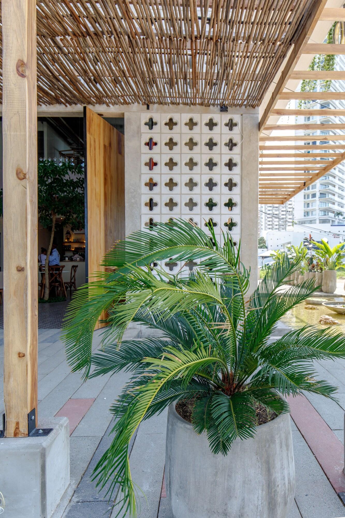 Vista Exterior Bondo Estudio