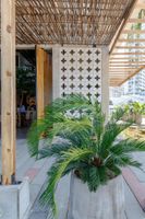 Alojamiento - Bondo Estudio