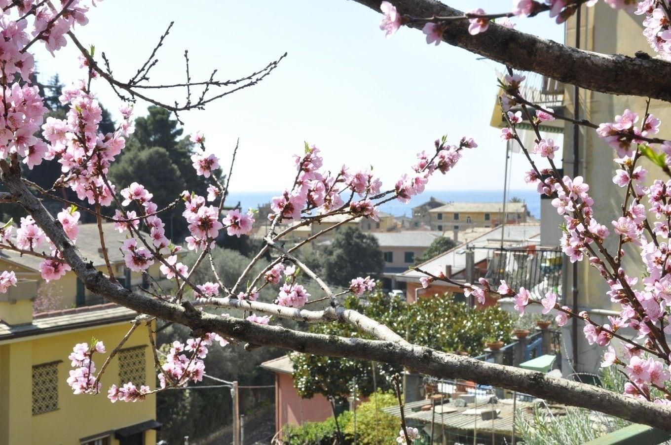 Vista Exterior Cà du Ferrà Farm & Relax