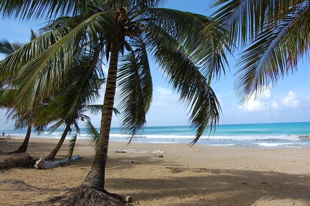 Playa Hotel Josefina Las Terrenas