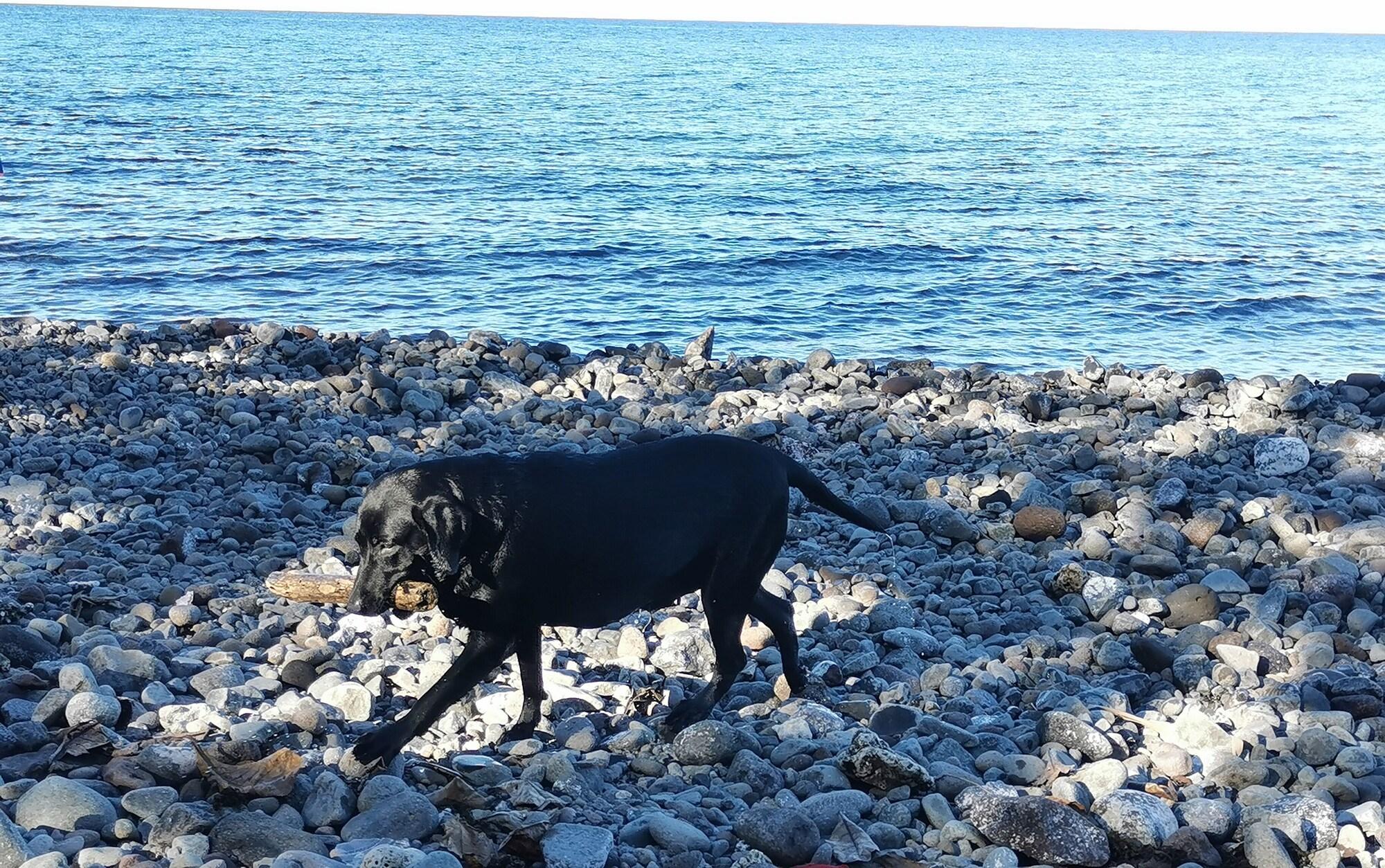 Playa Kokomo Dive Resort