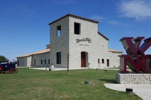 Actividad - Full day en bodega y viñedo BordeRío