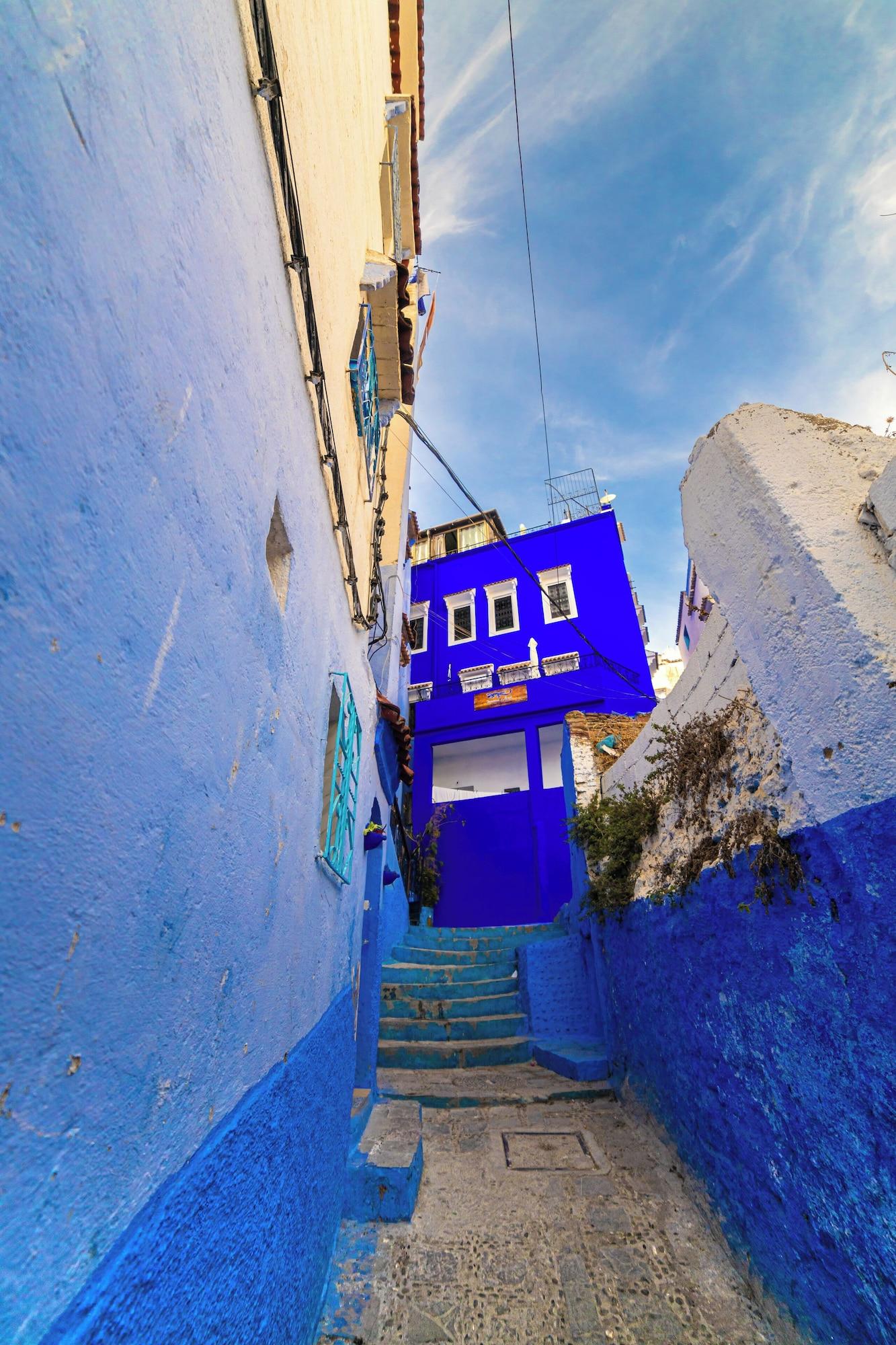 Vista Exterior Iguana Azul