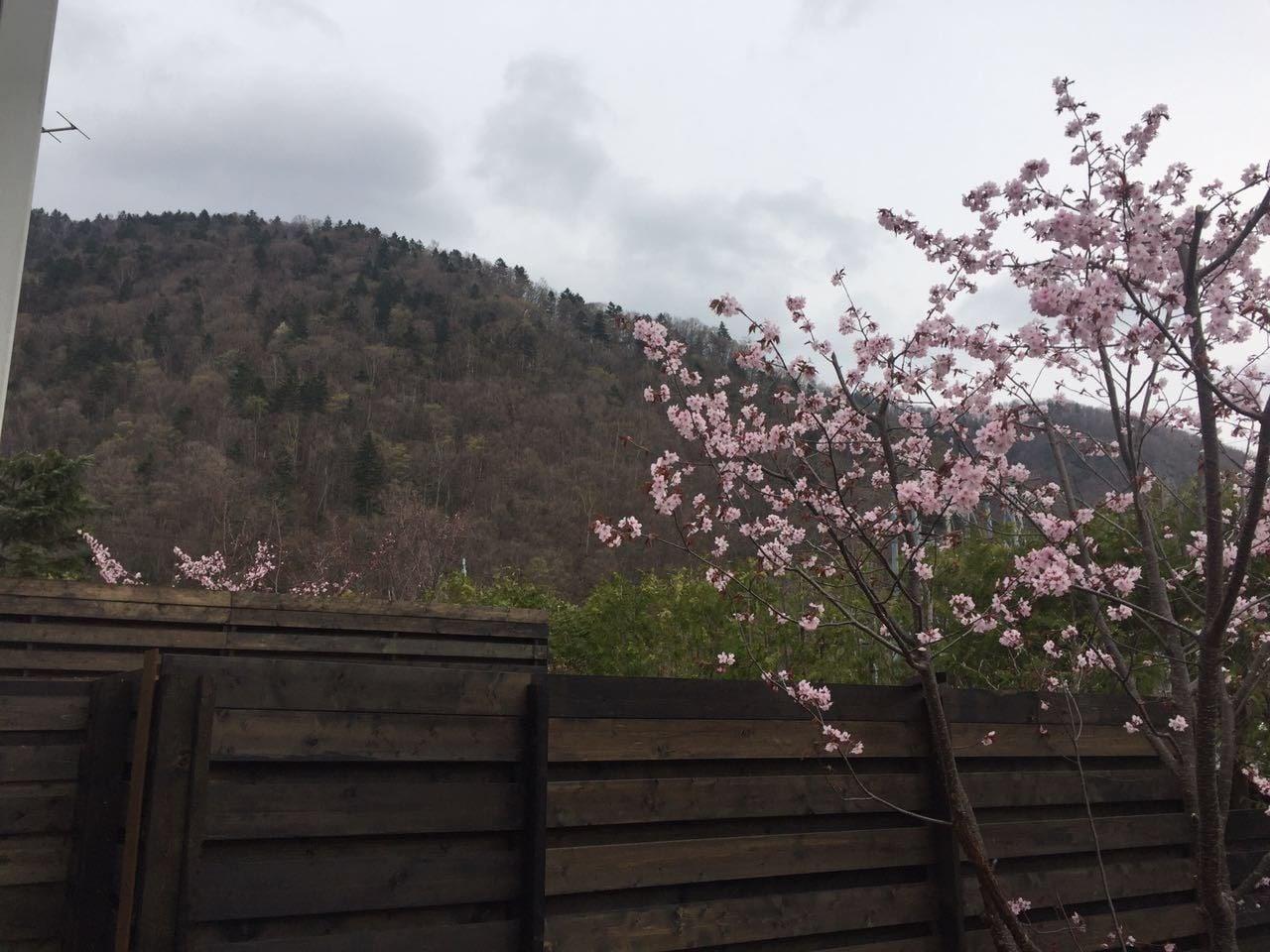 Equipamiento de Habitación Hotel Kinwaso