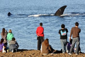 Actividad - Playa El Doradillo