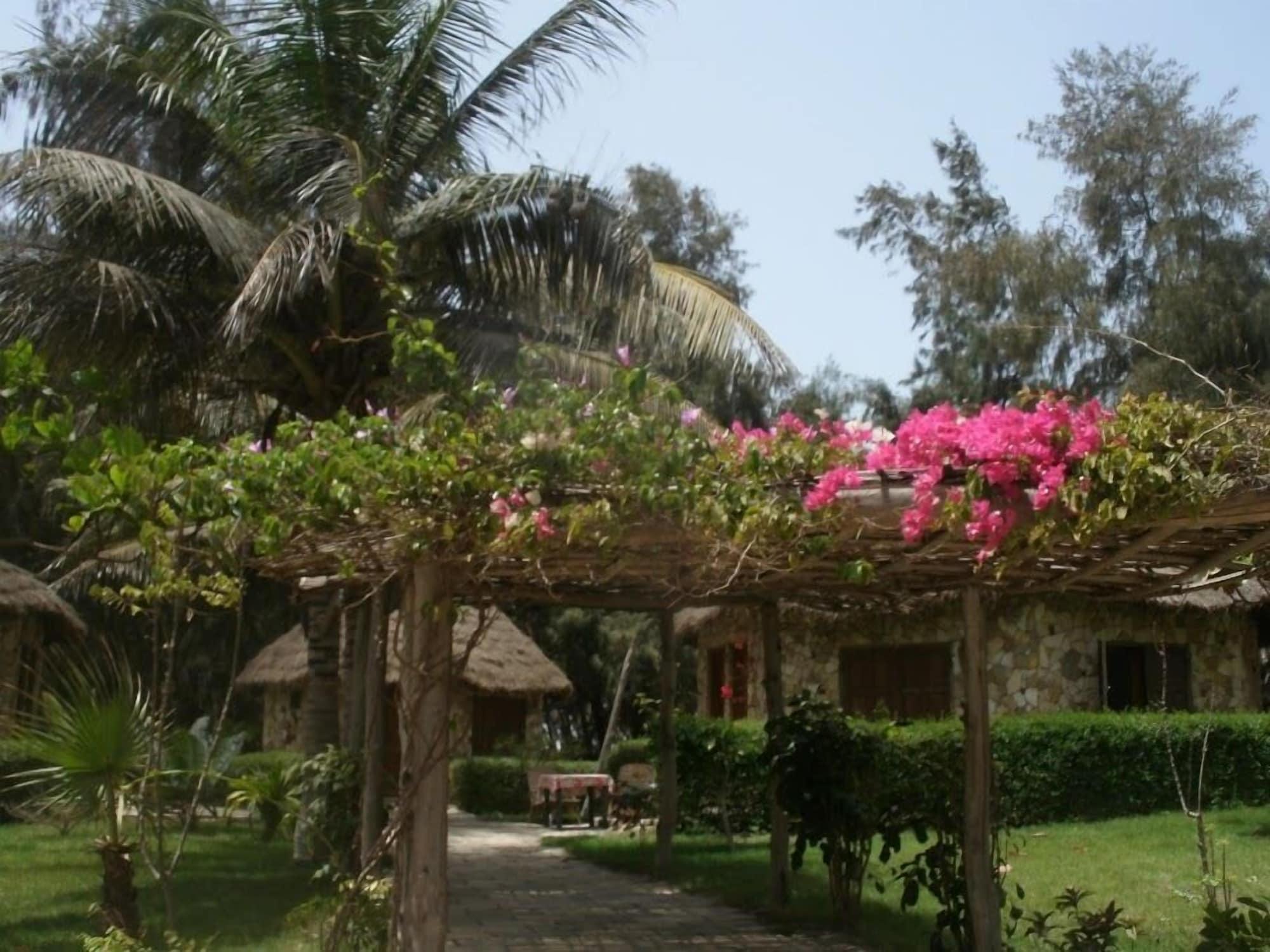 Vista Exterior Africa Roots