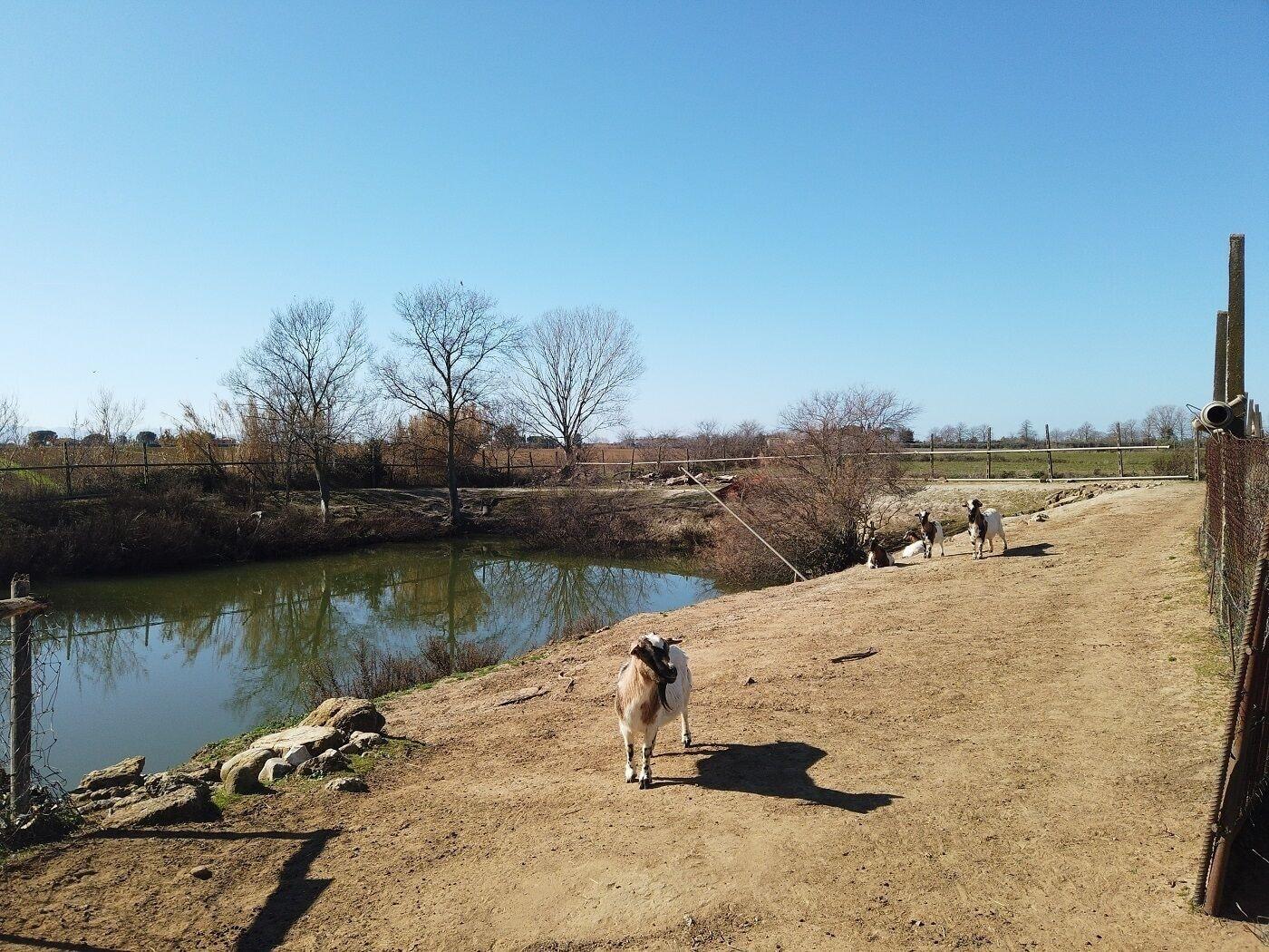 Vista Exterior Locanda Le Mandriane