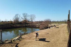 Alojamiento - Locanda Le Mandriane