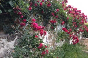 Alojamiento - Hotel Rural Mariblanca