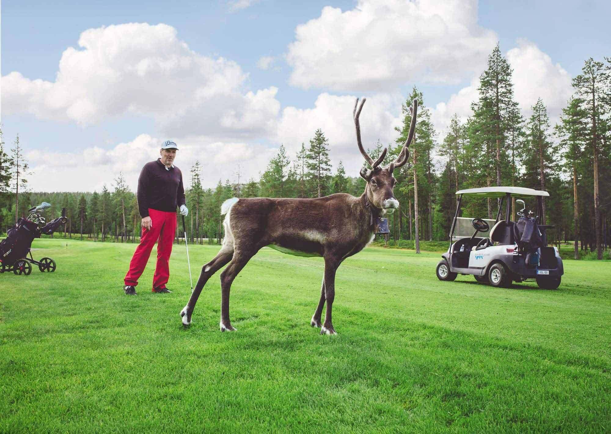 Campo de Golf Hotel Levi Panorama