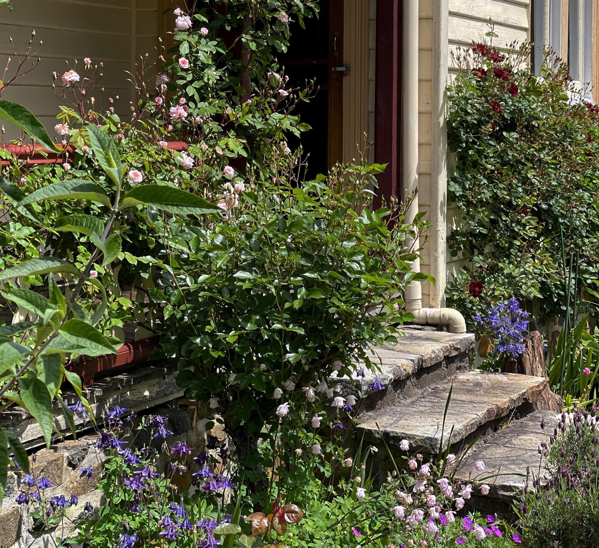 Vista Exterior Cambridge House