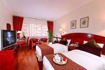 Habitación Panorama Grand