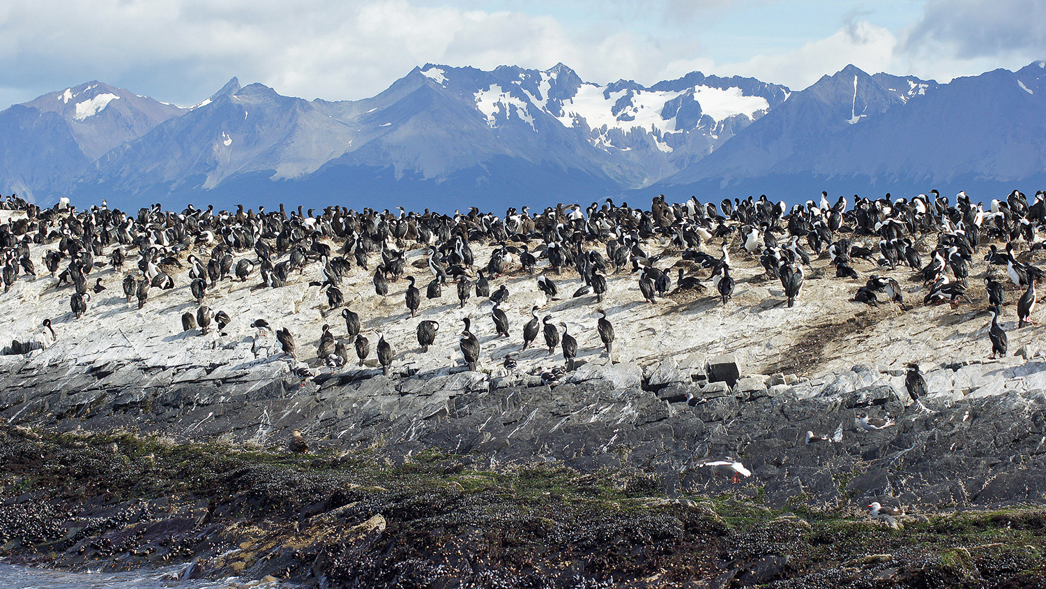 Ushuaia