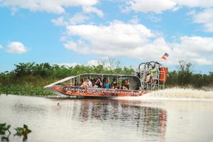 Actividad - Everglades Tour pequeno grupo Miami con Transporte
