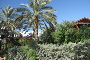 Alojamiento - Naomi's B&B