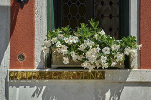 Alojamiento - Gardena Hotel