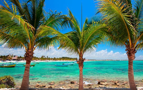 Bahia Principe Escape Tequila - Adults Only All Inclusive - Brand New Hotel