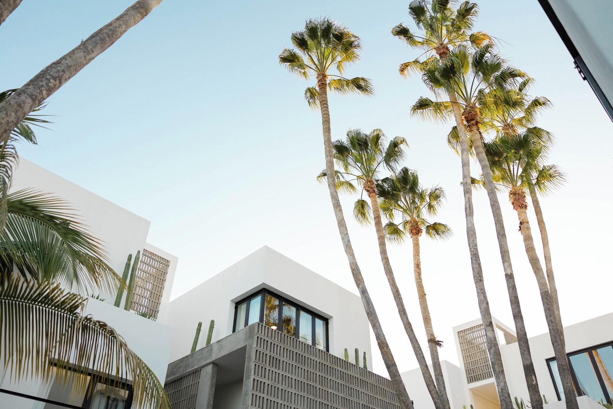 Vista Exterior Drift San Jose del Cabo, a Member of Design Hotels